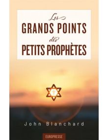 Les grands points des petits prophètes