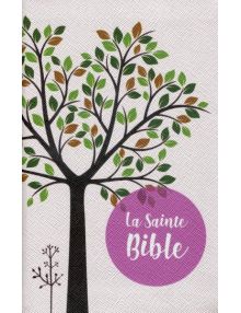 Sainte Bible Louis Segond 1910 tranche or rose pâle