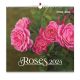 Calendrier Roses 2024 grand format