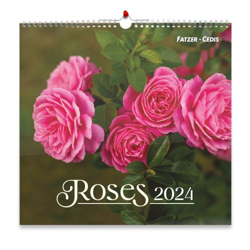 Calendrier Roses 2024 grand format - Librairie chrétienne 7ici