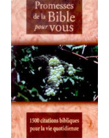 Promesses de la Bible pour vous - Librairie chrétienne en ligne 7ici