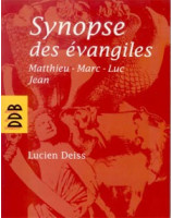 Synopse des évangiles Matthieu-Marc-Luc-Jean - Librairie chrétienne en ligne 7ici