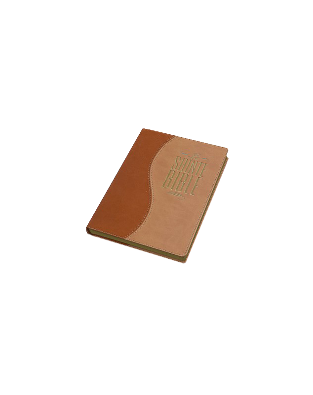 Bible segond 1910 caramel tranche Or  - Esa 889