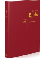 Bible NEG Segond 1979 Gros caractères. Grenat. Rigide.Tranche blanche