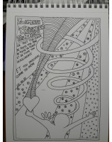 La parole en couleurs - Coloriages bibliques Librairie 7ici vente en ligne