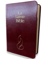 Bible NEG miniature fibro cuir tranche or grenat