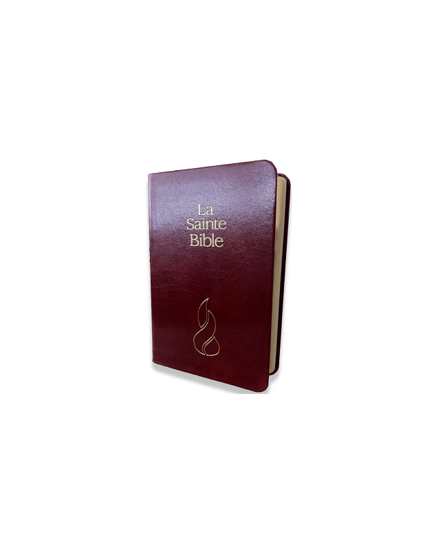 Bible NEG miniature fibro cuir tranche or grenat