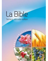 La Bible Version Semeur 2015 avec gros caractères, relié. Bleu et rose