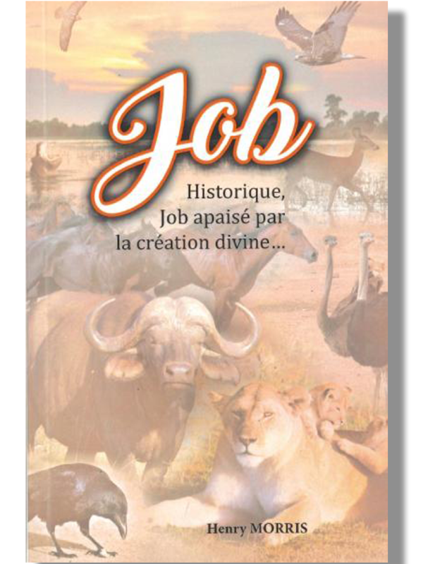 Job - Historique, Hob apaisé par la création divine