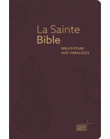 La sainte Bible, bible d'étude avec parallèles, fibrocuir, tranche or, onglets