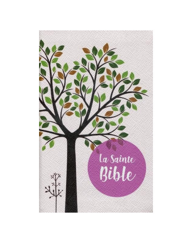 Sainte Bible Louis Segond 1910 tranche rose pâle