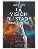 La vision du stade