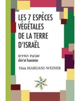 Les 7 espèces végétales de la terre d'Israël