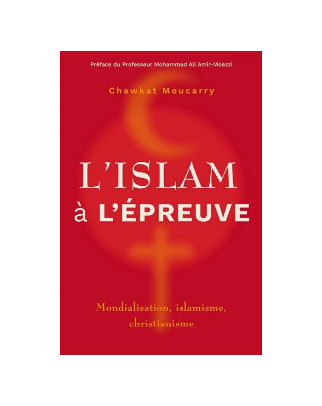 L'islam à l'épreuve