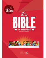 La Bible en 1001 briques Nouveau Testament -  Librairie chrétienne en ligne 7ici