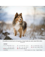 Calendrier Chiens 2025