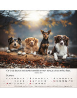 Calendrier Chiens 2025