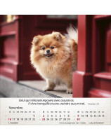 Calendrier Chiens 2025