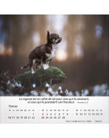 Calendrier Chiens 2025