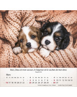 Calendrier Chiens 2025