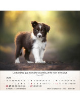 Calendrier Chiens 2025