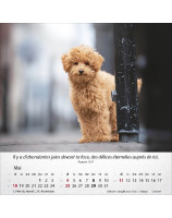 Calendrier Chiens 2025