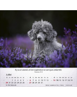 Calendrier Chiens 2025