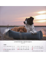 Calendrier Chiens 2025