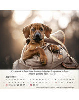 Calendrier Chiens 2025