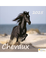 Calendrier Chevaux 2025