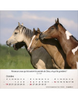 Calendrier Chevaux 2025