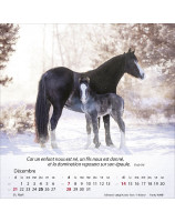 Calendrier Chevaux 2025