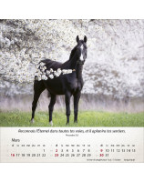 Calendrier Chevaux 2025