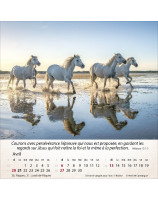 Calendrier Chevaux 2025