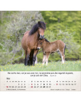 Calendrier Chevaux 2025