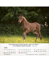 Calendrier Chevaux 2025