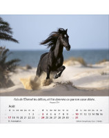 Calendrier Chevaux 2025