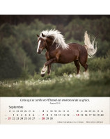 Calendrier Chevaux 2025