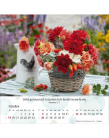 Calendrier Jardins 2025