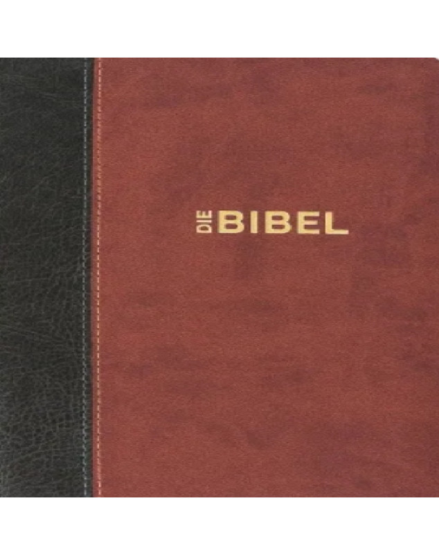 Die Bibel - Bible en allemand Schlachter 2000