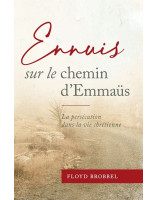 Ennuis sur le chemin d'Emmaüs  - Librairie 7 ici 