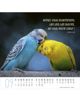 Calendrier Meilleurs Amis 2025