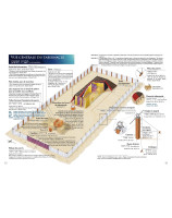 Le tabernacle et l'arche de l'alliance - Librairie chrétienne 7ici