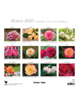 Roses grand format 2025