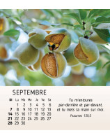 Nature en paix calendrier 2025