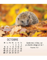 Nature en paix calendrier 2025