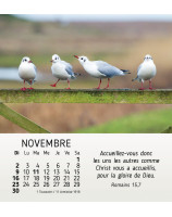 Nature en paix calendrier 2025