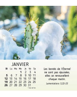 Nature en paix calendrier 2025