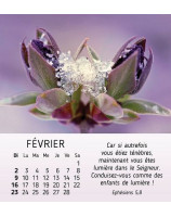 Nature en paix calendrier 2025