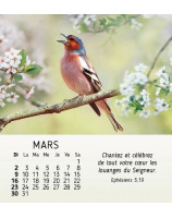 Nature en paix calendrier 2025